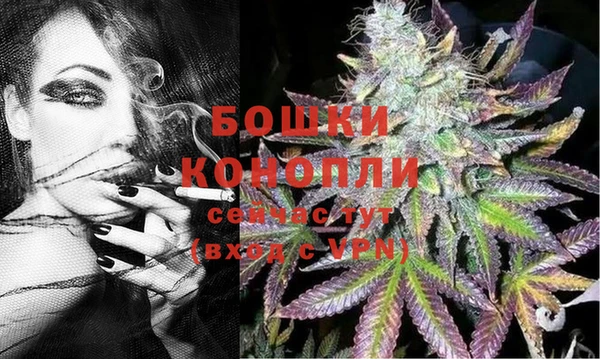 сатива Горно-Алтайск